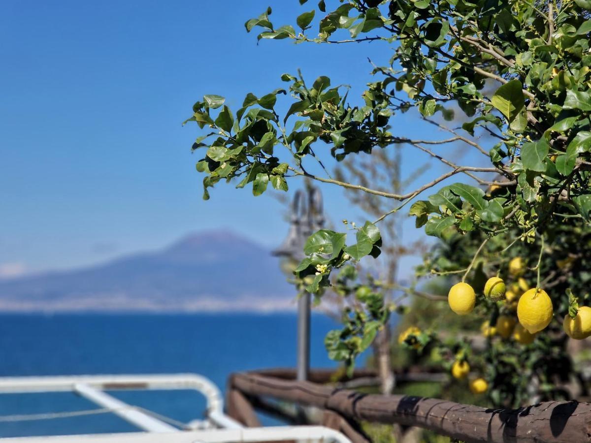 Vico Di Mare Apartment Vico Equense Luaran gambar